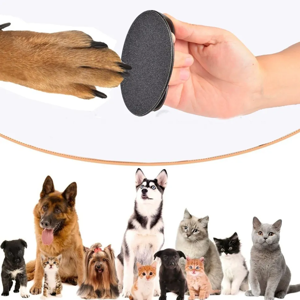 DTOPBUYAGE - Dtopbuyage plaque de réparation des ongles pour chiens