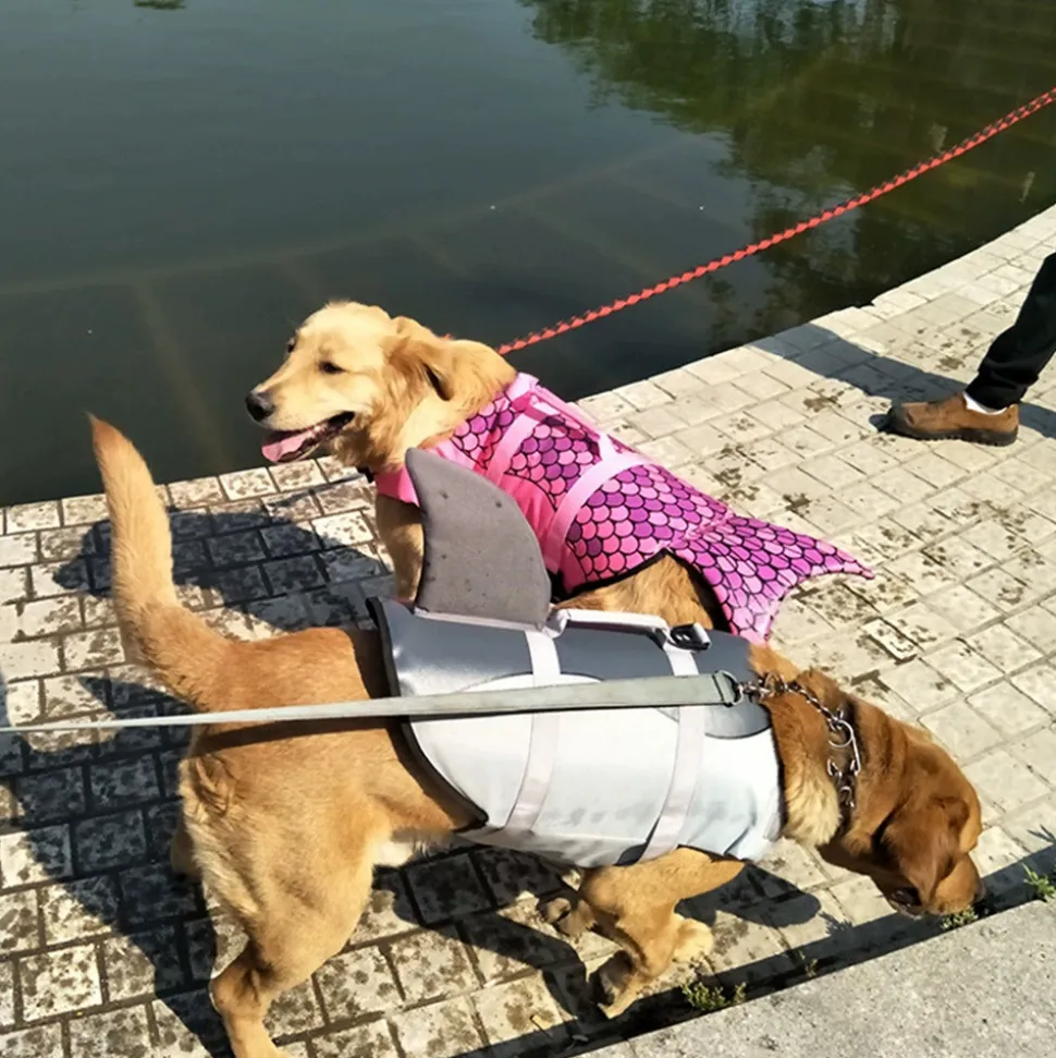 DTOPBUYAGE - Dtopbuyage vestes de sauvetage pour chiens
