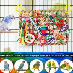 DTOPBUYAGE - Jeux pour oiseaux - matériel de forage, chewing, escalade