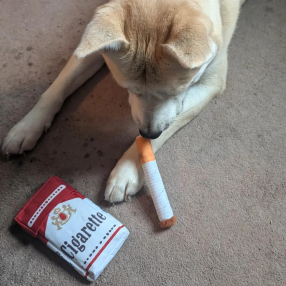 DTOPBUYAGE - Jouet pour chien en forme de cigare dtopbuyage (avec son)