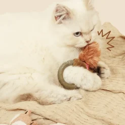 DTOPBUYAGE - Jouets de dentition pour chat dtopbuyage