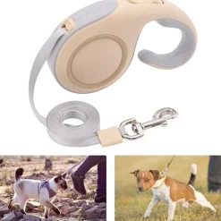 DTOPBUYAGE - Laisse extensible verrouillée 5m dorée chien