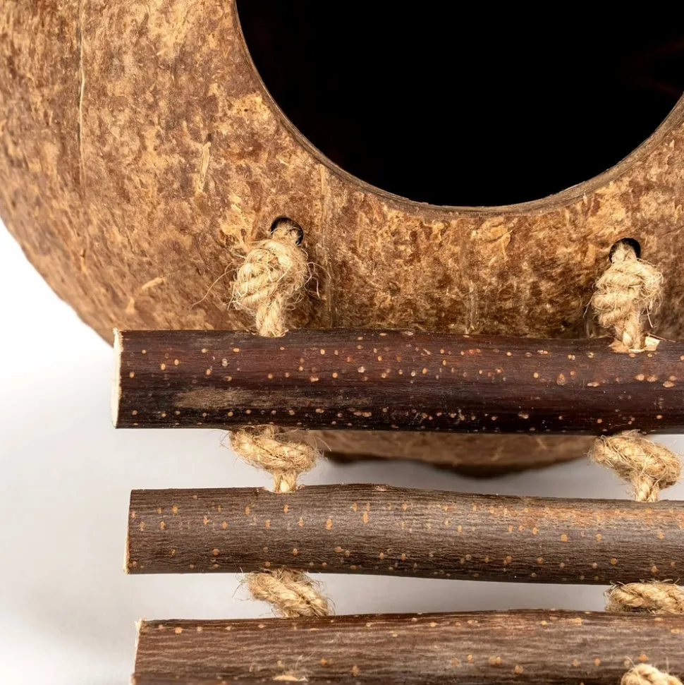 DTOPBUYAGE - Nid et jouet pour oiseaux et hamsters avec échelle