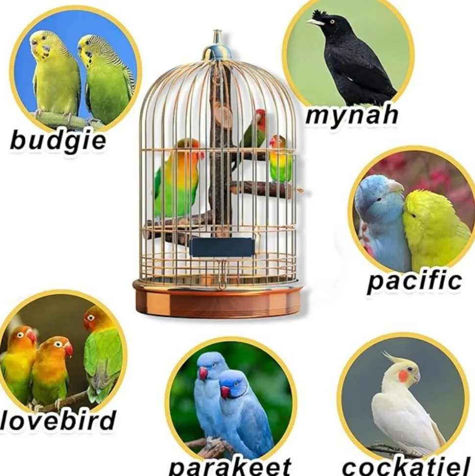 DTOPBUYAGE - Perchoir bois naturel oiseaux