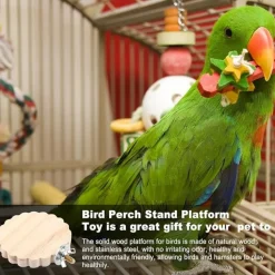 DTOPBUYAGE - Perchoir en bois pour cage d'oiseaux jouet