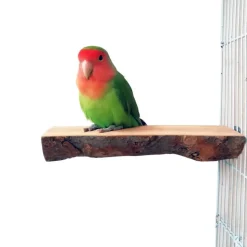 DTOPBUYAGE - Perchoirs bois naturel oiseaux moyen