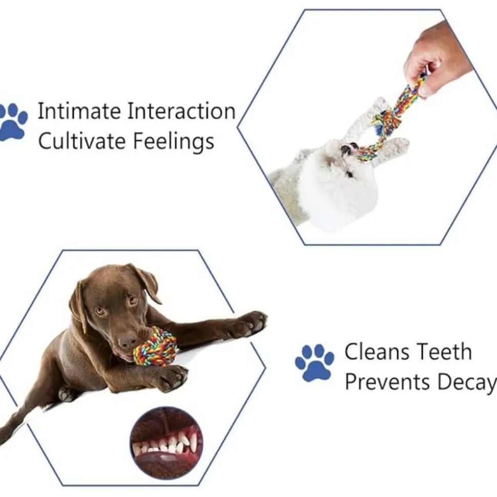 DTOPBUYAGE - 4 pièces jouets interactifs corde pour petits/moyens chiens