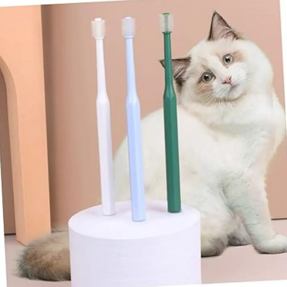 DTOPBUYAGE - 4 pièces pour nettoyer dents de chat dtopbuyage