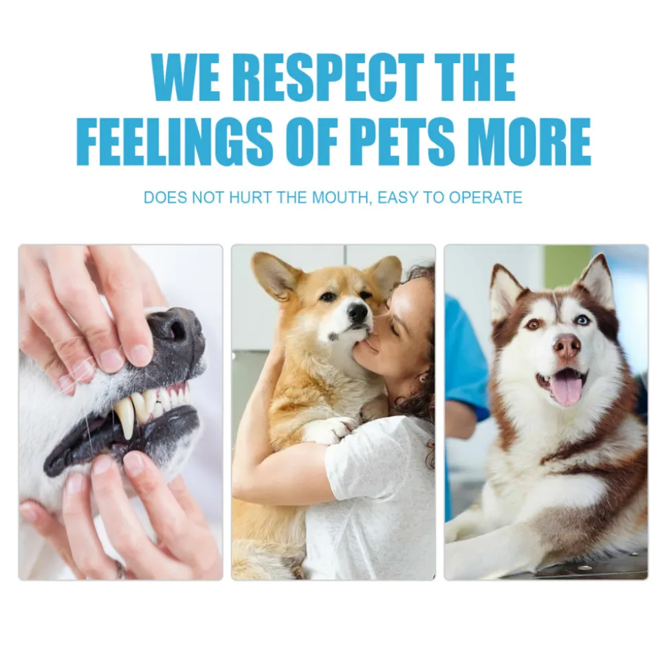 DTOPBUYAGE - Pâte dentaire pour animaux de compagnie, 60 g - dtopbuyage