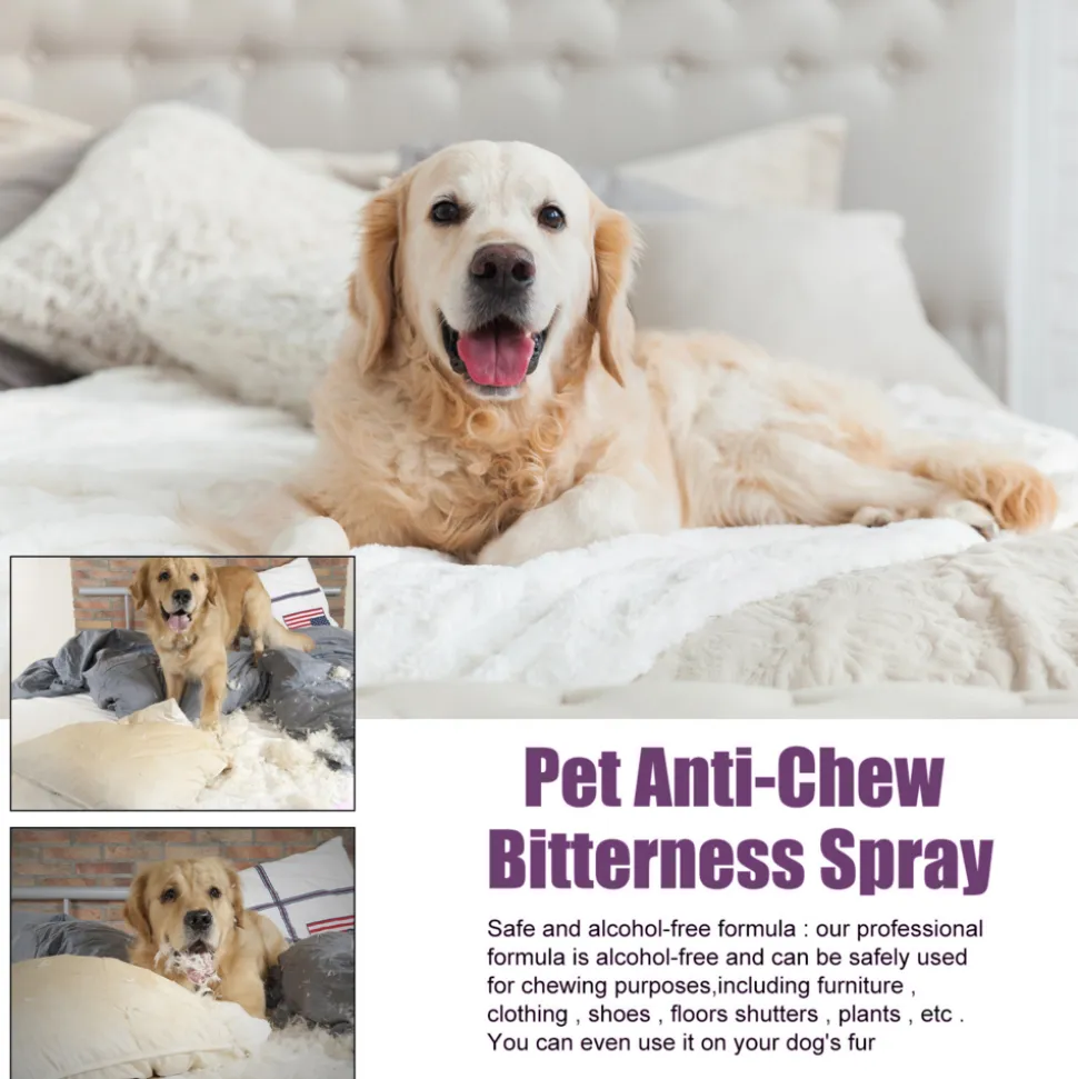 DTOPBUYAGE - Spray amer anti - mastication pour animaux de compagnie, 50 ml - dtopbuyage