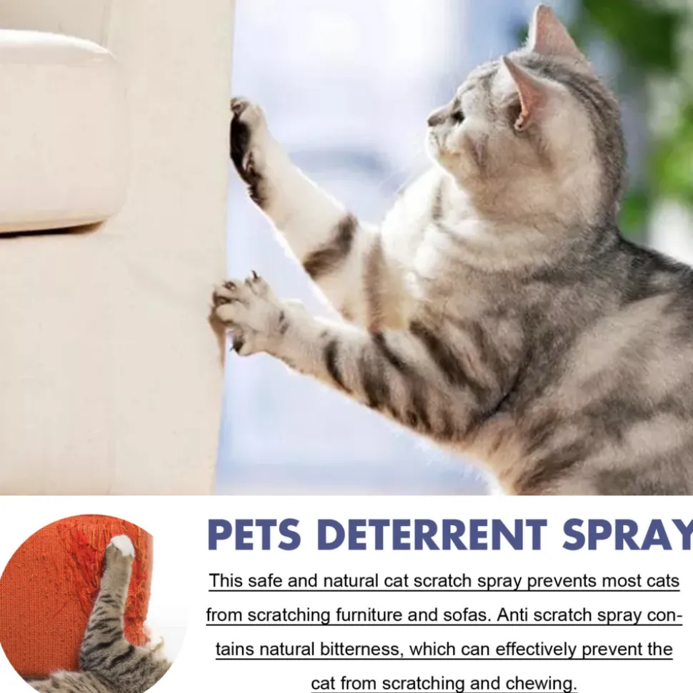 DTOPBUYAGE - Spray anti-griffure pour animaux de compagnie, 50 ml, en boîte - dtopbuyage