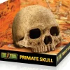 EXO TERRA - Crane primate décoration reptile amphibien grand
