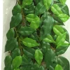 EXO TERRA - Feuillage ficus reptiles moyen