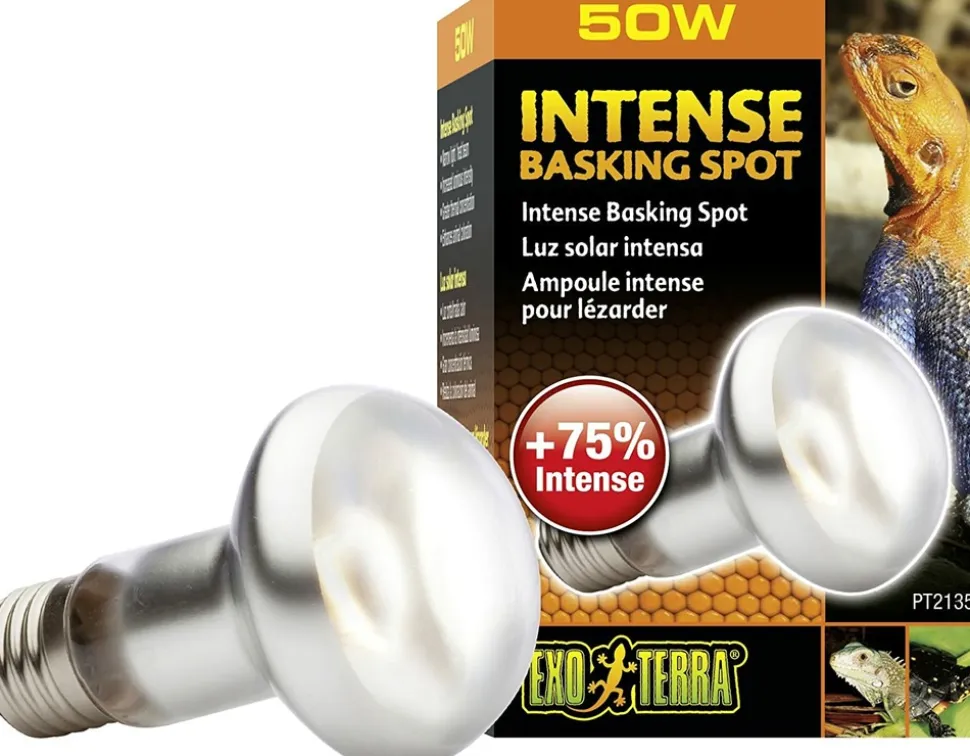 EXO TERRA - Lampe intense basking spot reptiles
