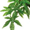 EXO TERRA - Plantes rainforest à suspendre feuillage abutilon moyen