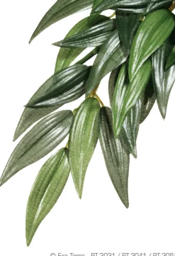 EXO TERRA - Plantes rainforest à suspendre feuillage ruscus grand
