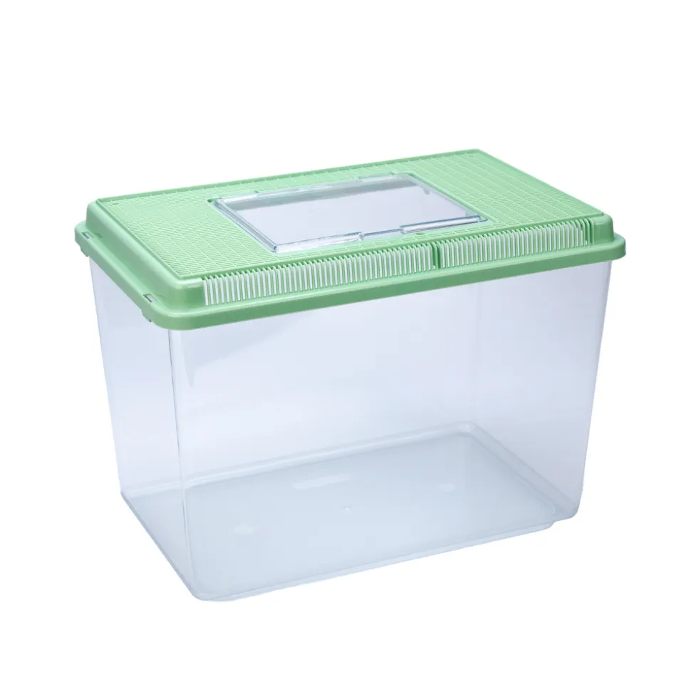 Ferplast aquarium en plastique geo maxi bac 21 l conteneur pour petits animaux, aquarium, terrarium, insectes, bac à tortues,