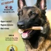 FRANCE CROQUETTES - 2x bois de cerf xxl entier (200/300gr) - chien <50kg - france croquettes