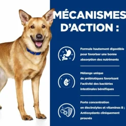 HILL'S - Croquettes chien adult prescription diets i/d digestive care - hill's 1,5 kg
