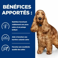 HILL'S - Croquettes chien adult prescription diets z/d food sensitivities - hill's 8 kg