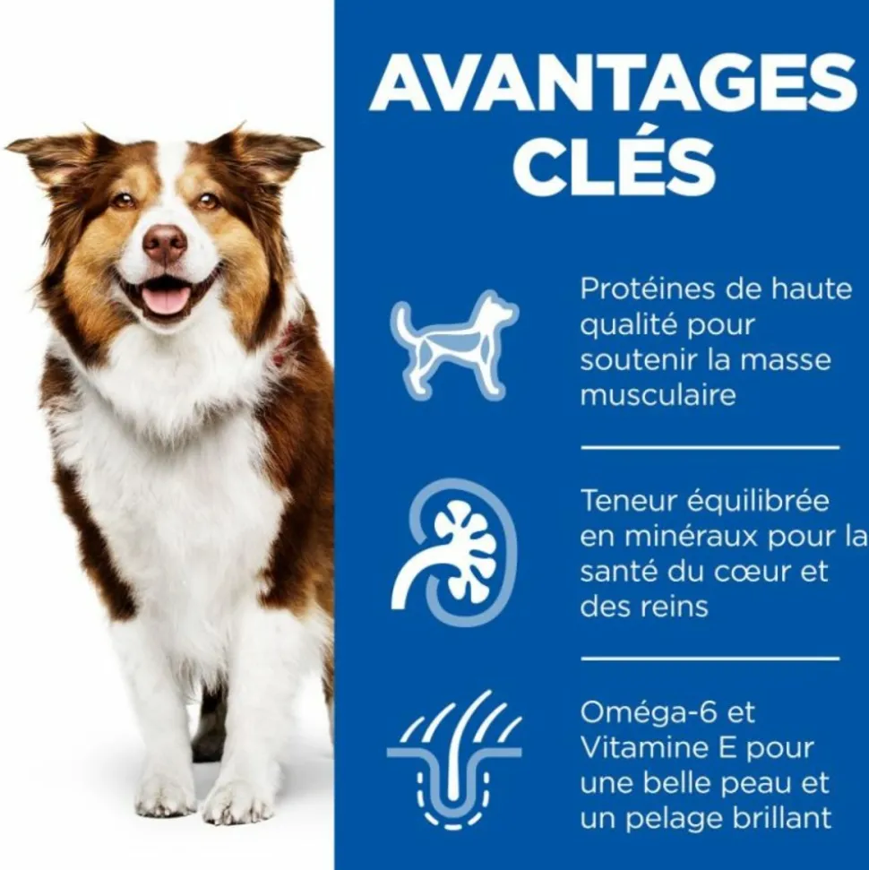 HILL'S - Croquettes chien science plan adult mature 7+ medium poulet - hill's 14 kg