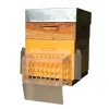 ICKO APICULTURE - Bouclier STOP-IT anti-frelon asiatique