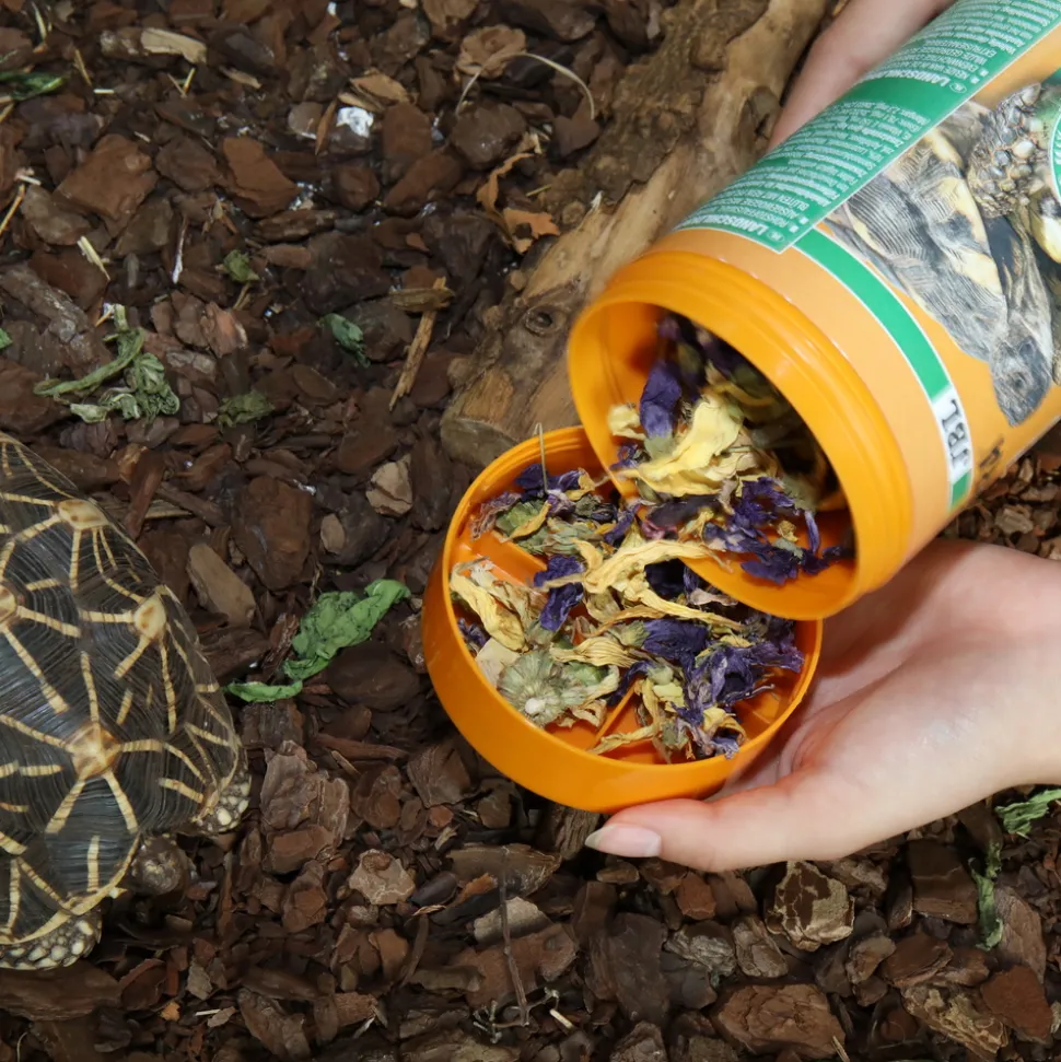 JBL - Florsil, alimentation pour tortues terrestres : 250ml