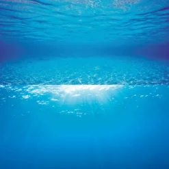 JUWEL - Poster de fond d'aquarium 2 xl : 150 x 60cm