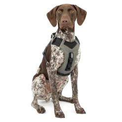 KURGO - Harnais pour chien Journey Air noir taille M