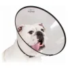 KVP - Collier de protection isabelino pour chiens saf-t-clear transparent (25-38 cm)