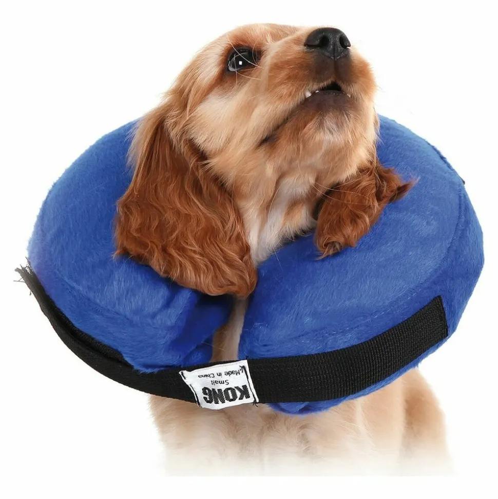KVP - Collier de récupération pour chiens kvp kong cloud bleu gonflable (max. 15 cm)