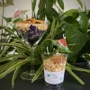 L'EDEN DES PATTOUNES - Cocktail - Blue Lagoon