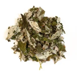 L'EDEN DES PATTOUNES - Feuilles de framboisier - 50 g