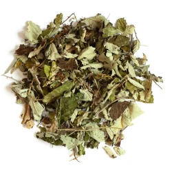 L'EDEN DES PATTOUNES - Feuilles de mûrier - 50 g