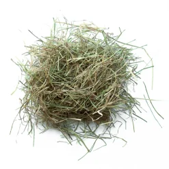 L'EDEN DES PATTOUNES - Foin de prairie pour lapins et rongeurs - 10 kg