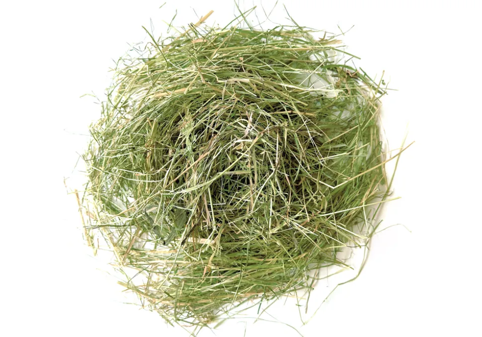 L'EDEN DES PATTOUNES - Mix foin pour lapins et rongeurs - 2 kg