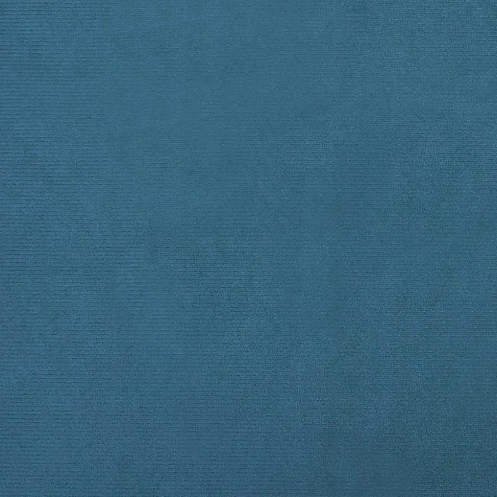 MAISON EXCLUSIVE - Lit pour chien bleu 70x48x22 cm velours