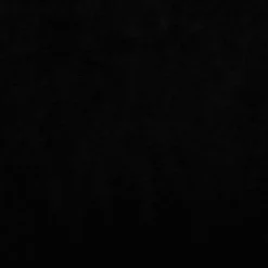 MAISON EXCLUSIVE - Lit pour chien noir 66x40x45 cm velours