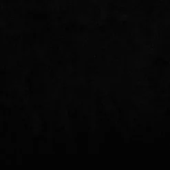 MAISON EXCLUSIVE - Lit pour chien noir 70x40x24 cm velours