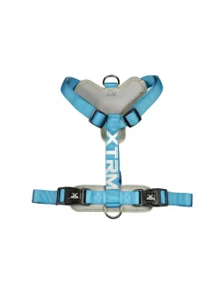 NAYECO - Harnais x-trm cronos neon flash 35-60x1.5cm bleu nayeco