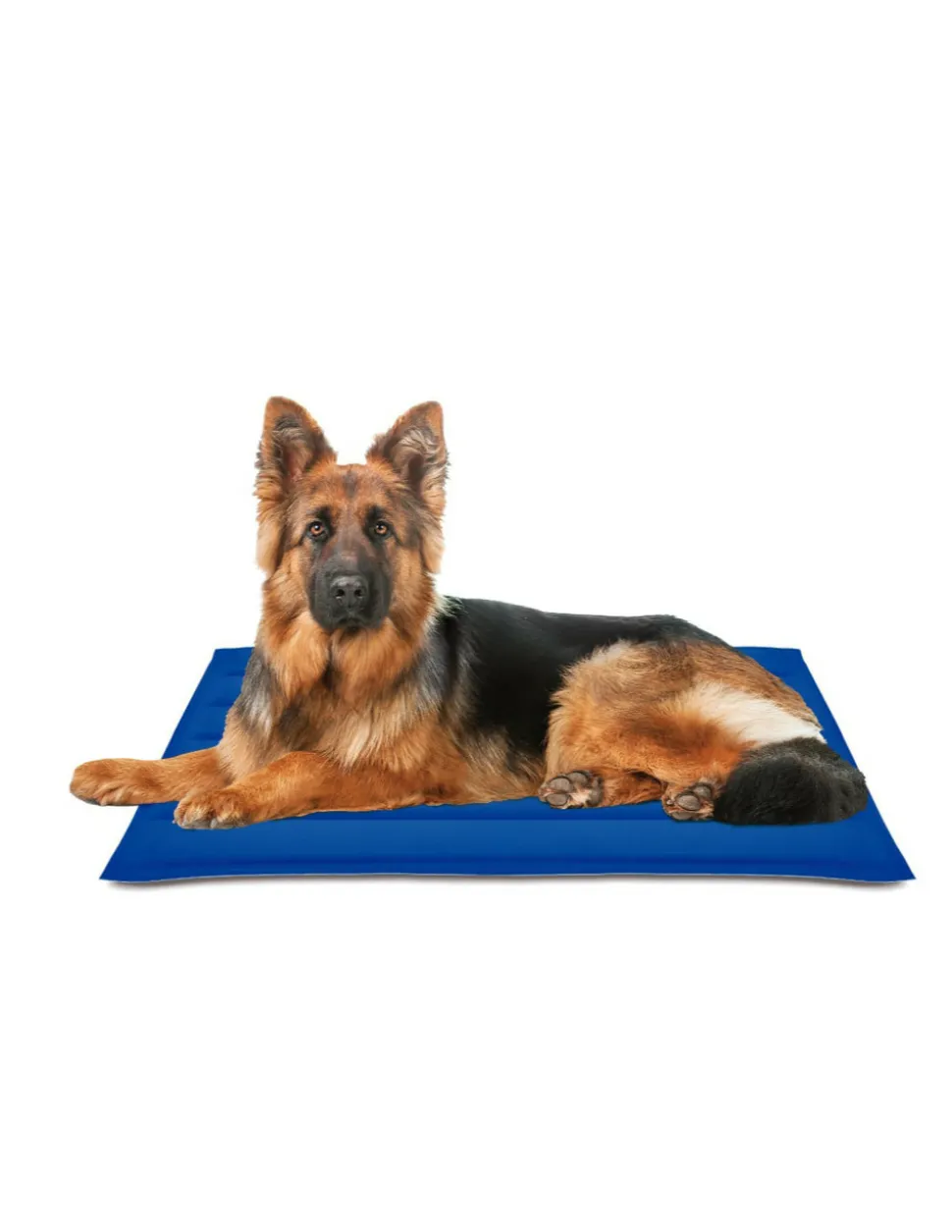 NAYECO - Tapis rafraîchissant cool mat gel bleu 90x105cm nayeco
