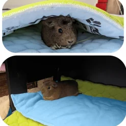NEO SOLVO - Lot de 4 - tapis pour cochon d'inde et lapin en polaire 60 x 50 cm - polaire absorbant, lavable en machine, economique
