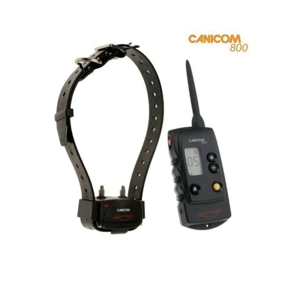 NUM'AXES - Ensemble dressage chien a distance canicom 800