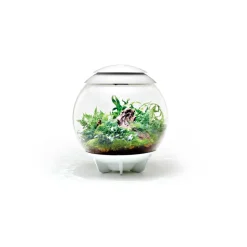 Oase terrarium décoratif 60l avec cadre blanc - air 60 white