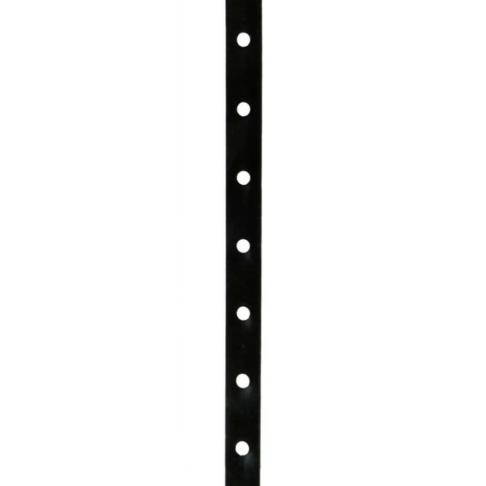 PARIS PRIX - Collier insectifuge chien "antiparasitaire" 50cm noir
