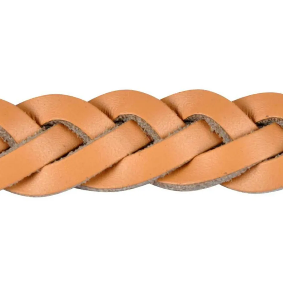 PARIS PRIX - Collier pour chien réglable "tressé" 30-45cm naturel