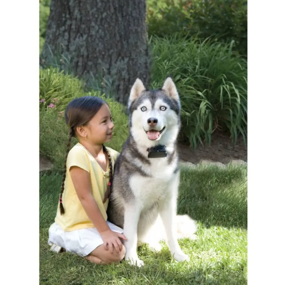PETSAFE - Système de clôture pour grand chien supérieur à 3,6 kg