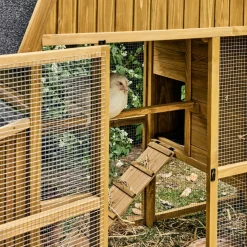 Poulailler 6 poules bois de sapin - 195.5 x 90 x 152.5 cm - gasconne