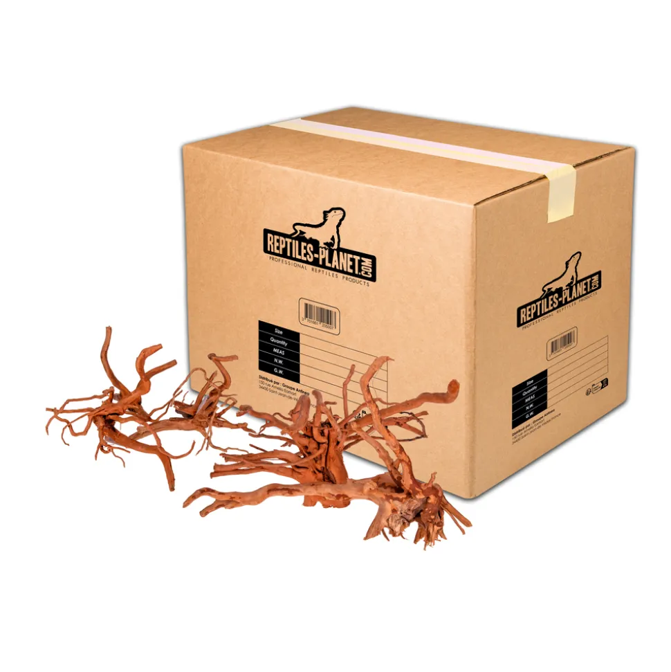 REPTILES PLANET - Racine araignée pour aquarium - Taille M