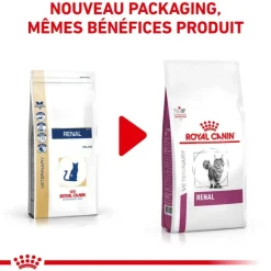 ROYAL CANIN - Croquettes chat veterinary cat renal - royal canin 2 kg